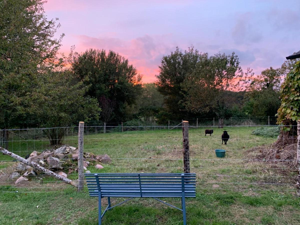 Le Logis De La Chouette Hotel Baugé Kültér fotó